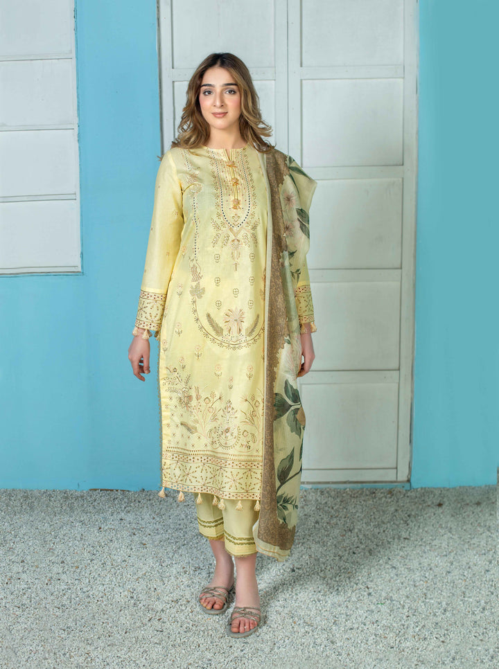 3 Piece - Luxury Embroidered Lawn Suit - AN004 - Anyesha clothes