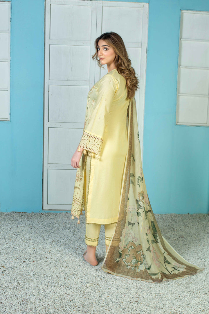 3 Piece - Luxury Embroidered Lawn Suit - AN004 - Anyesha clothes