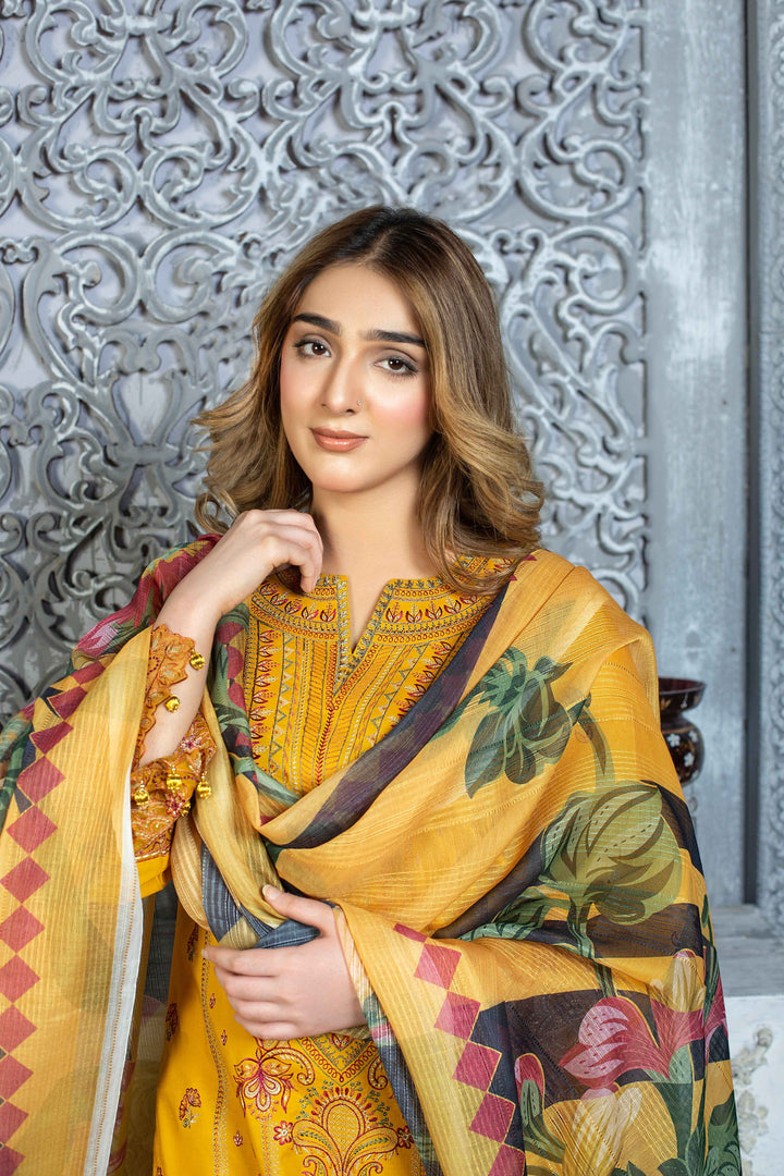 3 Piece - Luxury Embroidered Lawn Suit - AN006 - Anyesha clothes