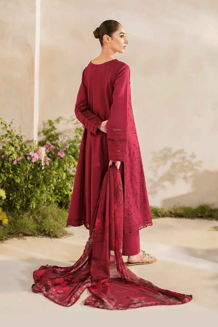 3 Piece - Luxury chikankari Lawn Suit - AN007 - Anyesha clothes