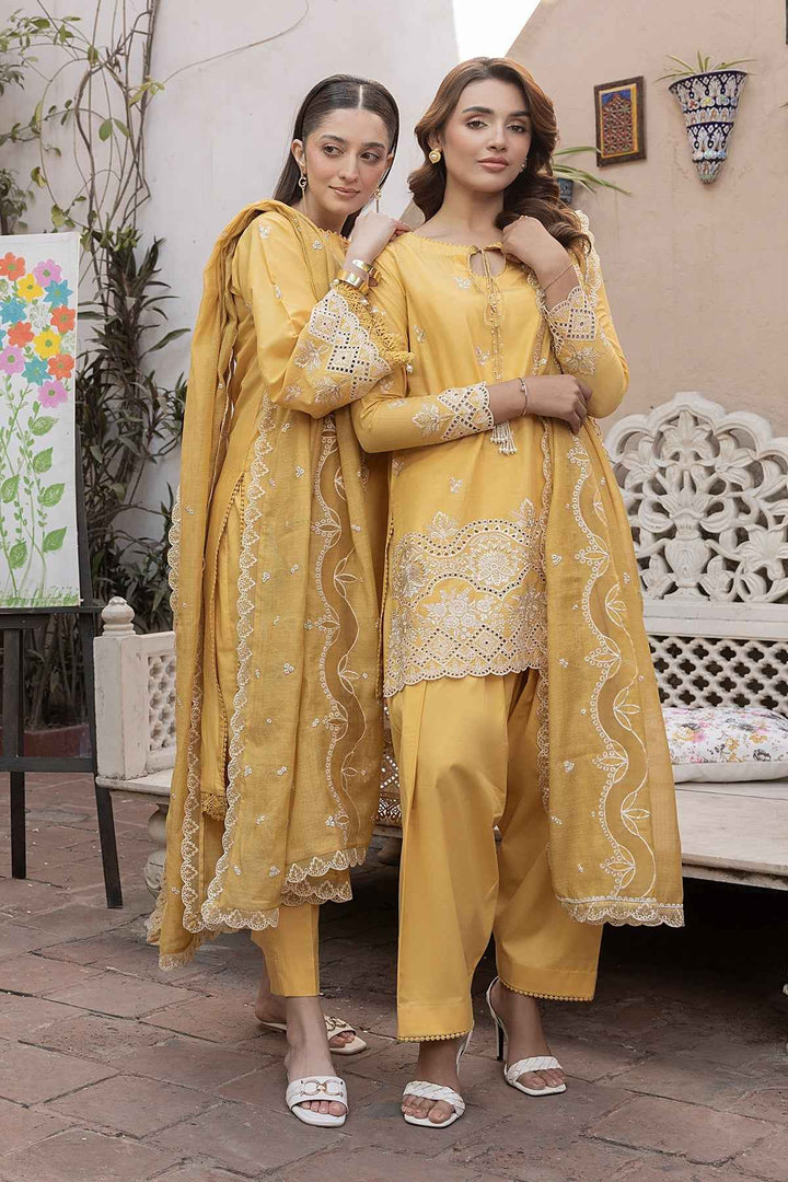 CHIKANKARI SUITS D - 24 - Anyesha clothes